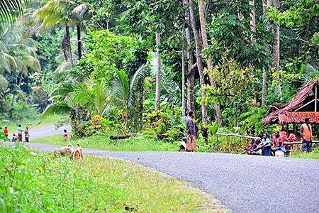 Papua-Neuguinea - Straße