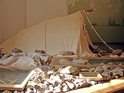 Blaubeuren - im Urgeschichtlichen Museum