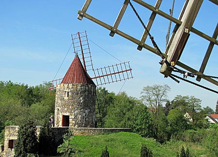 Internationales Wind- und Wassermühlenmuseum Gifhorn - Mühle von Alphonse Daudet