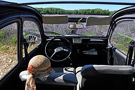 Die 2CV vor dem blühenden Lavendelfeld. Alpes-de-Haute-Provence, Frankreich