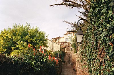 Frankreich - Cote d'Azur - Gesäumt von Mimosen: Spazierweg in Bormes-les-Mimosas