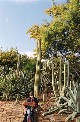 Frankreich - Cote d'Azur - Der Garten der Domaine du Rayol lädt zu einer Weltreise ins Reich der Pflanzen – natürlich mit Mimosen
