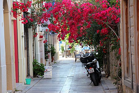 Griechenland - Nauplia - üppig mit Drillingsblumen berankte Altstadt