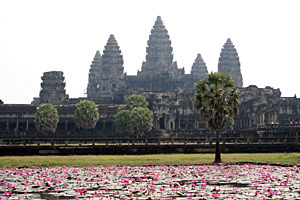Kambodscha Angkor Wat Kulisse