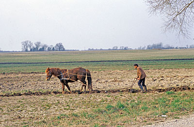 Litauen - Landwirt im Nemunas Delta