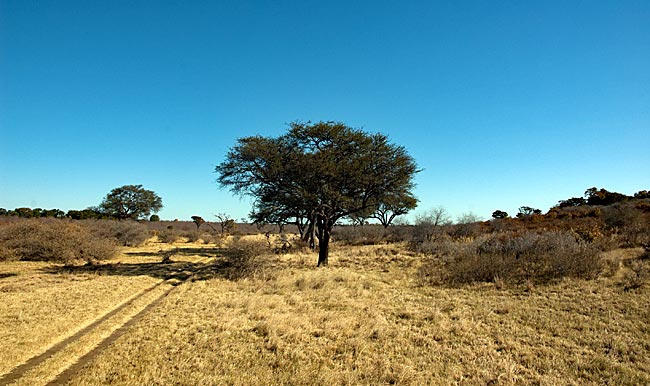 Namibia - Landschaft