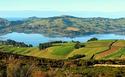 Neuseeland - Blick über die Otago-Halbinsel vom Mt. Cargill