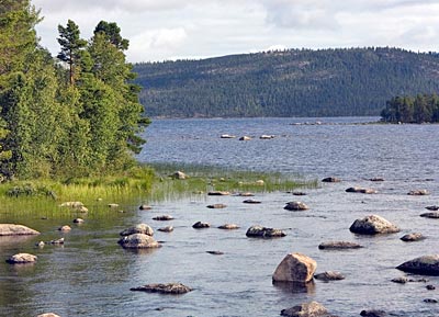 Norwegen - Fliegenfischen - Fluss Trysilelva