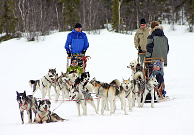 Norwegen - Schlittenhundetour Hemsedal