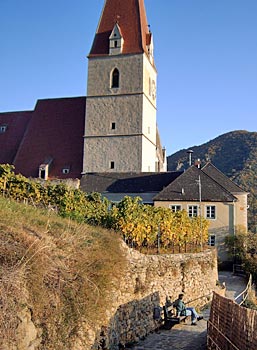 Österreich - nördliche Wachau - Wanderweg durch Weißenkirchen