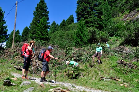 Volunteering Tirol: Schwendarbeit am Steilhang, Wanderer staunen. Projekt für die Waxeggalm im Zemmgrund zur Rückgewinnung von Weideland, Hochgebirgsnaturpark Zillertaler Alpen, Tirol, Österreich