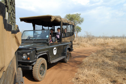 Safari in Swasisland