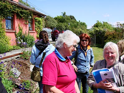 Irland - Kilvarock Gardens – ohne Phemie Rose nicht denkbar 