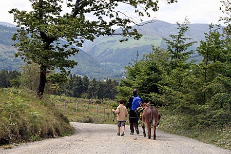 Irland - Wandern mit Esel im County Wicklow