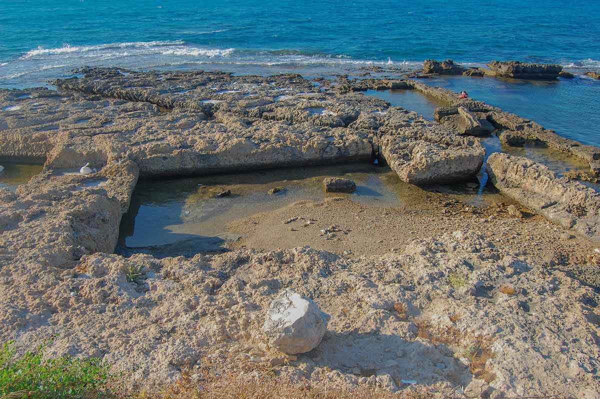 Fischtank Lambousa
