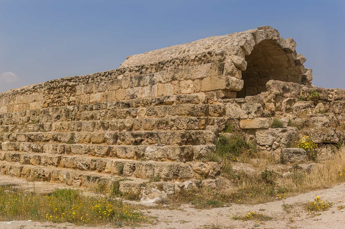 Salamis