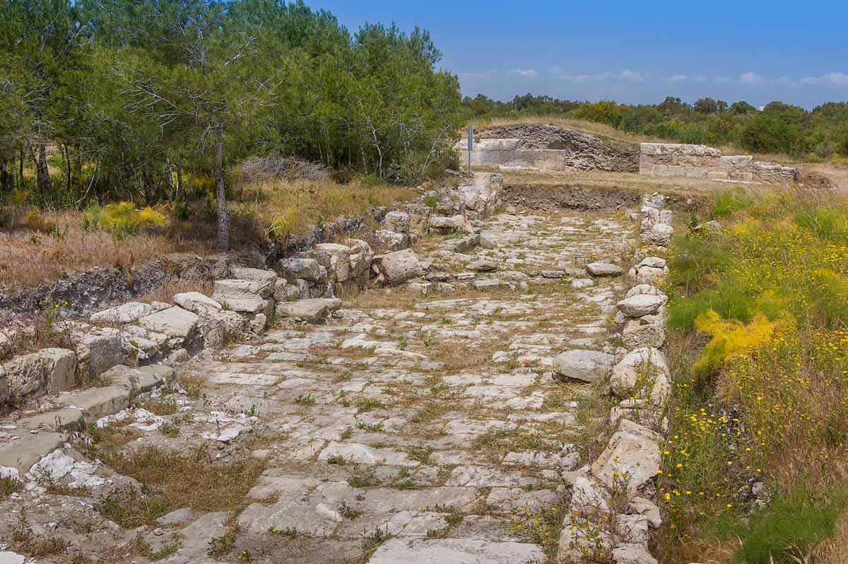 Salamis