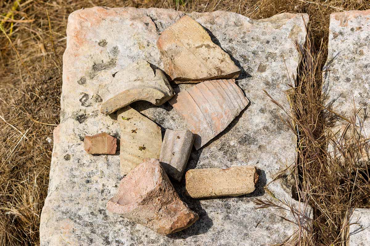 Salamis