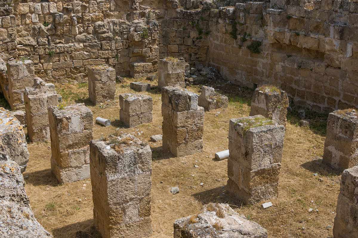 Salamis