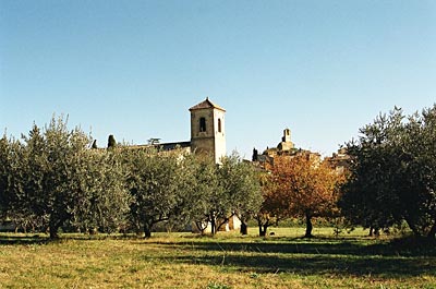 Frankreich - Provence - Der Baum des Lebens ist noch heute fester Bestandteil des Landschaftsbildes im Vaucluse (Kapelle vor Lourmarin)