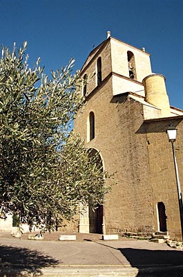Frankreich - Provence - Auch vor der Kirche von Cucuron steht ein Olivenbaum