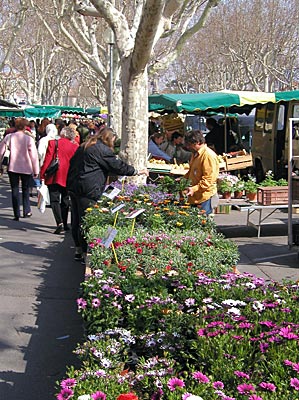 Provence - Markt in Carpentras