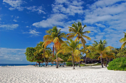 St. Vincent: Palm Island