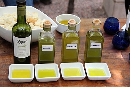 Argentinien - Olivenöl aus Mendoza