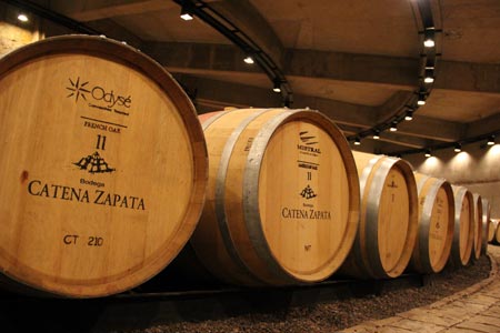 Argentinien - Weinanbau bei Mendoza - Weinfässer im Catena-Weingut in Luján de Cuyo