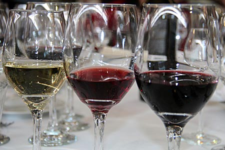 Argentinien - Weinanbau bei Mendoza - Weine von Rutini