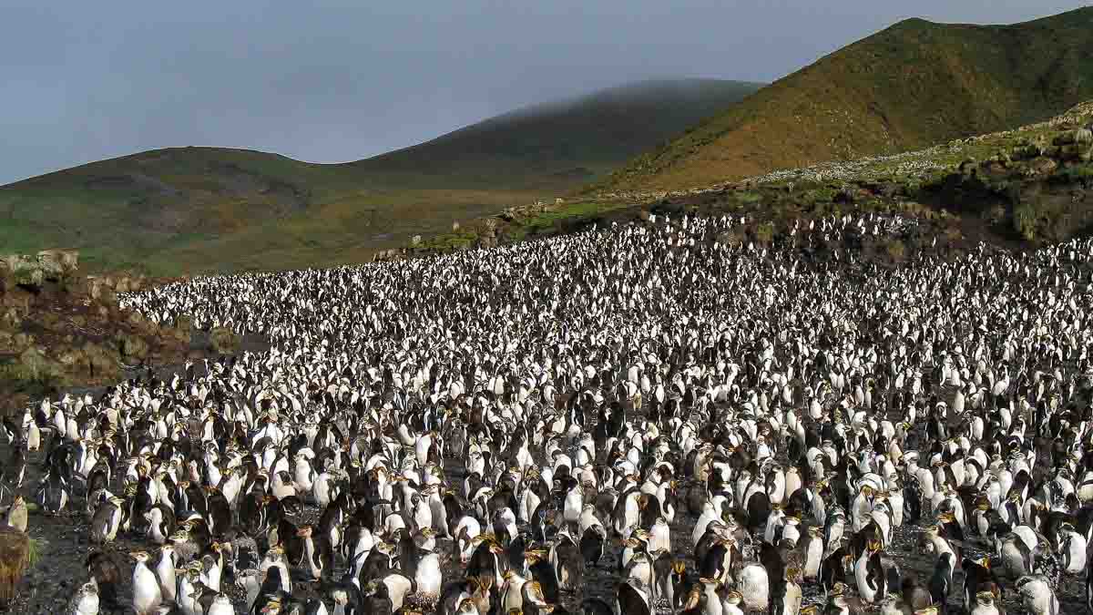 Spinx, Foto: Pixabay