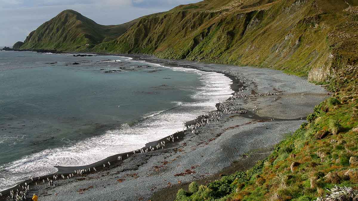 Macquarie Island