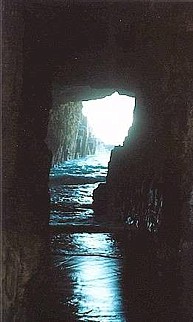 Tasmanien / Remarkable Cave