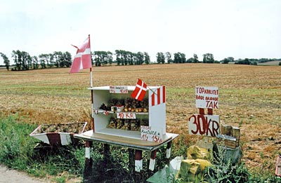 Dänemark - Mön - Versorgungsstation am Wegesrand: Obst und Gemüse kauft man auf Møn direkt beim Bauern