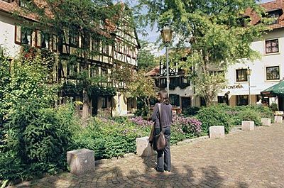 Pfalz - Neustadt an der Weinstraße - Es grünt so grün in der Altstadt von Neustadt an der Weinstraße