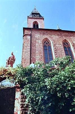 Pfalz - Auch an der Kirchmauer im Winzerort St. Martin fühlen sich die Feigen wohl