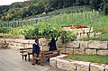 Im Schatten der Walhalla. Das kleinste Weinbaugebiet Deutschlands