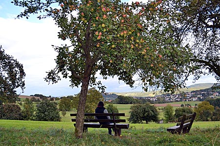 Schattenplatz: Pause unter einem Apfelbaum im Hügelland des Odenwalds