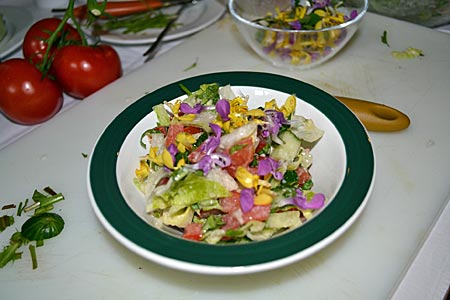 Tölzer Land - Alles so schön bunt hier: Salat mit Wildkräutern