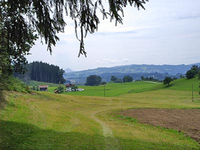 Allgäu - Landschaft