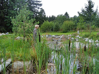 Allgäu - Wassergarten