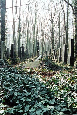 Berlin - Jüdischer Friedhof