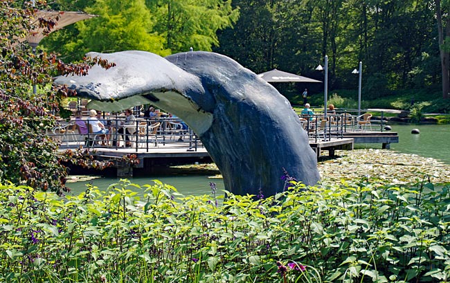 Hamm Maxipark: Walfluke im Fontänenteich