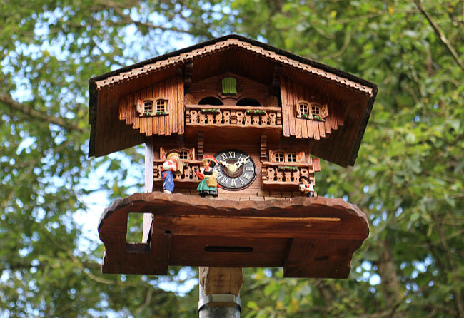 Kuckucksuhr am Uhrwaldpfad Rohrhardsberg