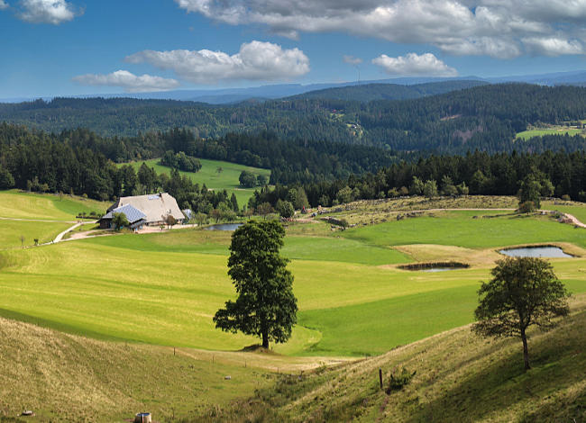 Uhrwaldpfad - Ausblick Richtung Schänzlehof