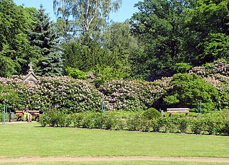 Hamburg - Ohlsdorfer Friedhof - Grünanlage