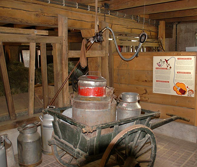Freilichtmuseum Vogtsbauernhof Gutach: Ausstellung Milchviehwirtschaft