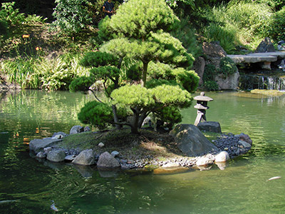 Teichanlage mit Insel im Japanischen Garten in Kaiserslautern