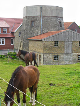 Die Doppelmühle von Leer, eine von drei Mühlen des Ortes