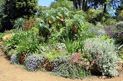 Jurassic Coast - Abbotsbury Subtropical Gardens
